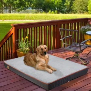 Orthopedic Memory Foam Dog Bed