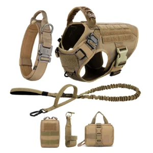 Harness And Leash Set