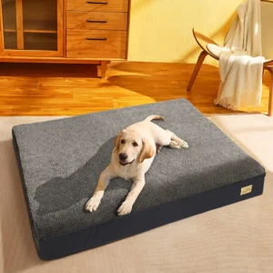 Jumbo Pet Orthopedic Bed Memory Foam Base with Washable Cover Waterproof